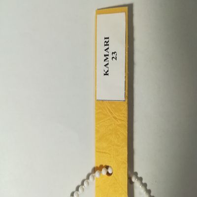 Шторы плиссе купить в Александрии