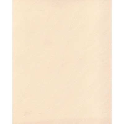 Тканевые ролеты Дюна цвет бежевый