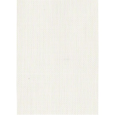 Тканевые ролеты Скрин цвет белый