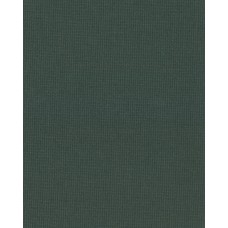 Ролеты тканевые Ара цвет зеленый 7050