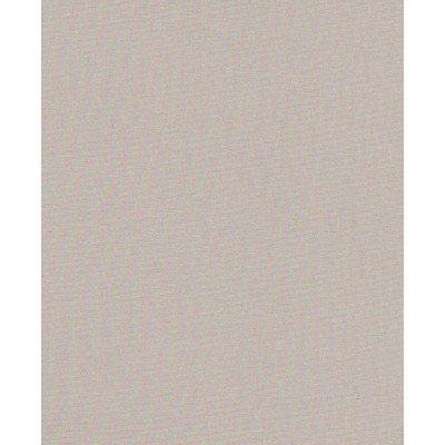 Тканевые ролеты Мунлайт цвет бежевый