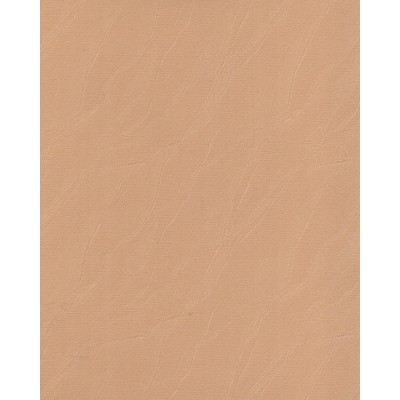 Тканевые ролеты Дюна цвет бежевый