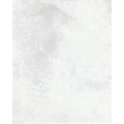 Тканевые ролеты Клаудиа цвет белый