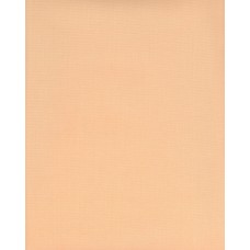 Жалюзи японские ткань Ара цвет оранжевый 2035