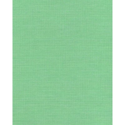 Японские жалюзи ткань Ара цвет зеленый 1001